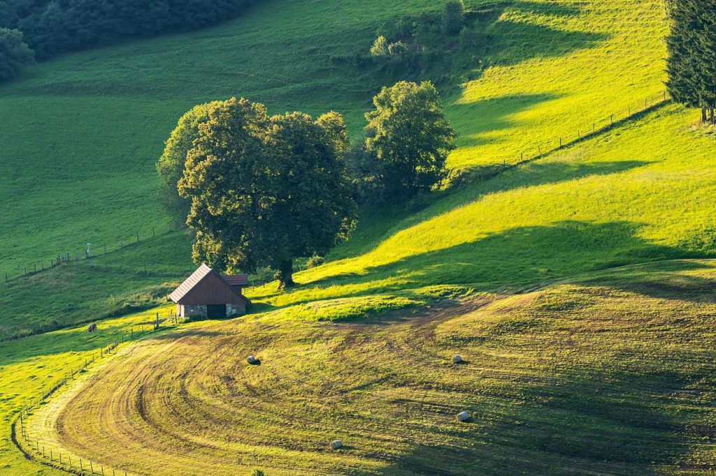 landscape-field