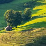 landscape-field